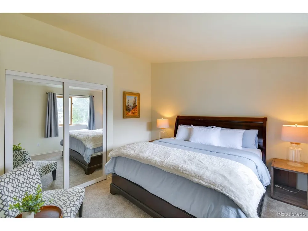 141 Quartzville Road Alma, CO 80420