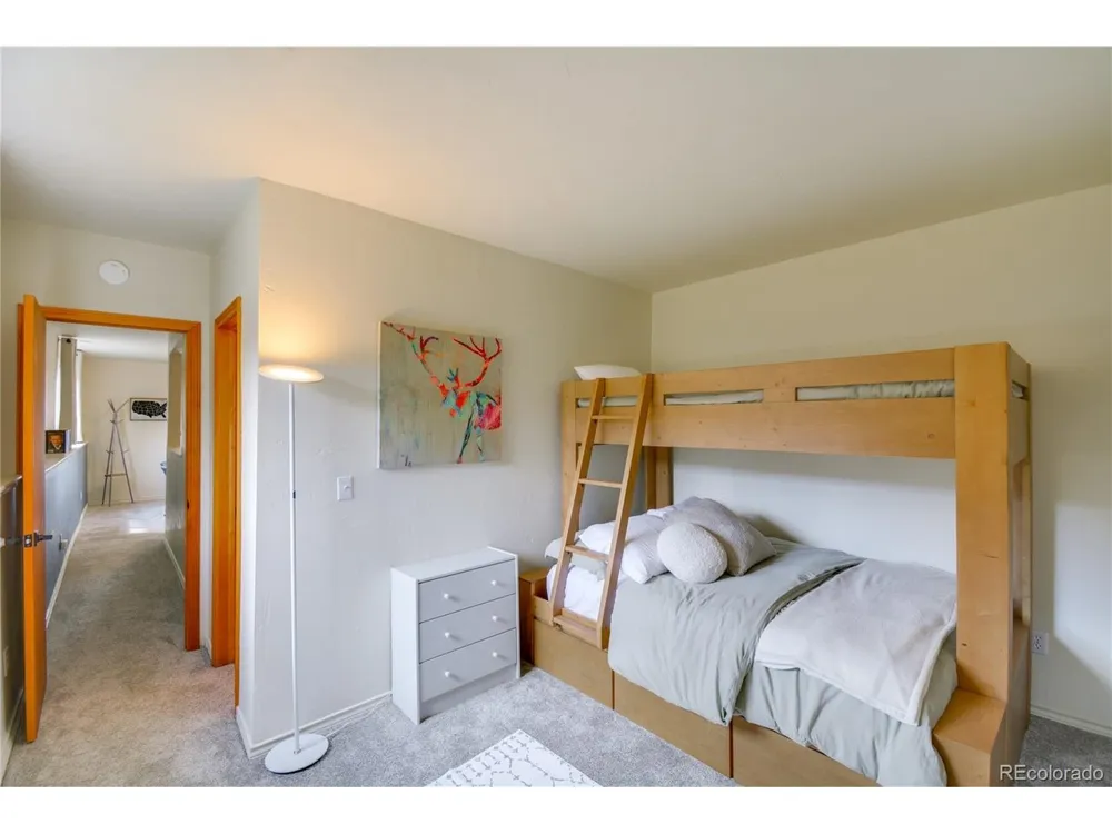 141 Quartzville Road Alma, CO 80420