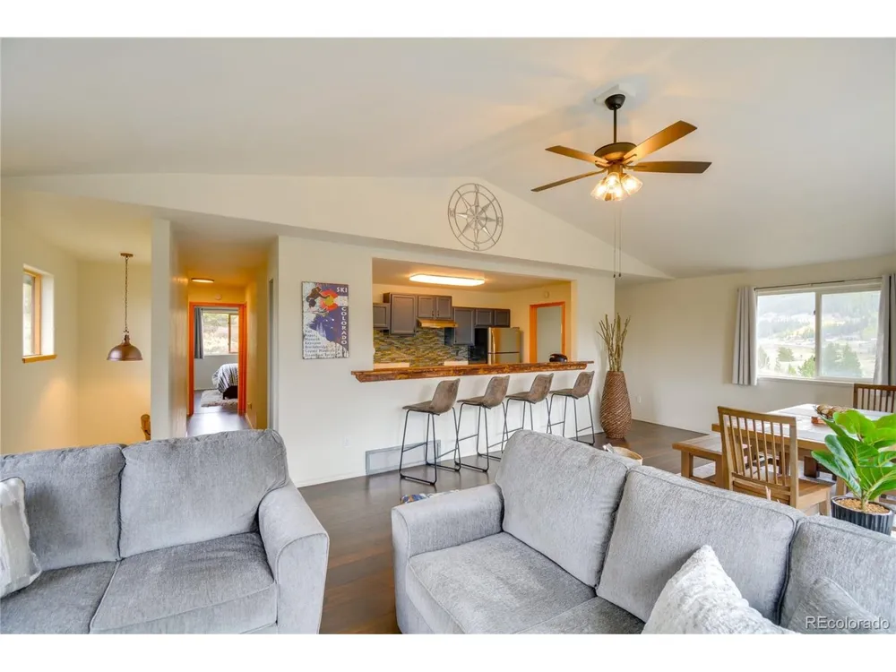 141 Quartzville Road Alma, CO 80420
