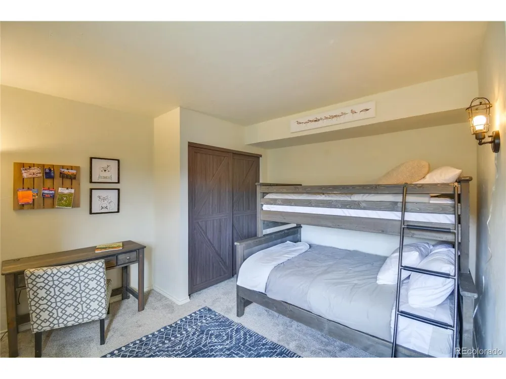 141 Quartzville Road Alma, CO 80420
