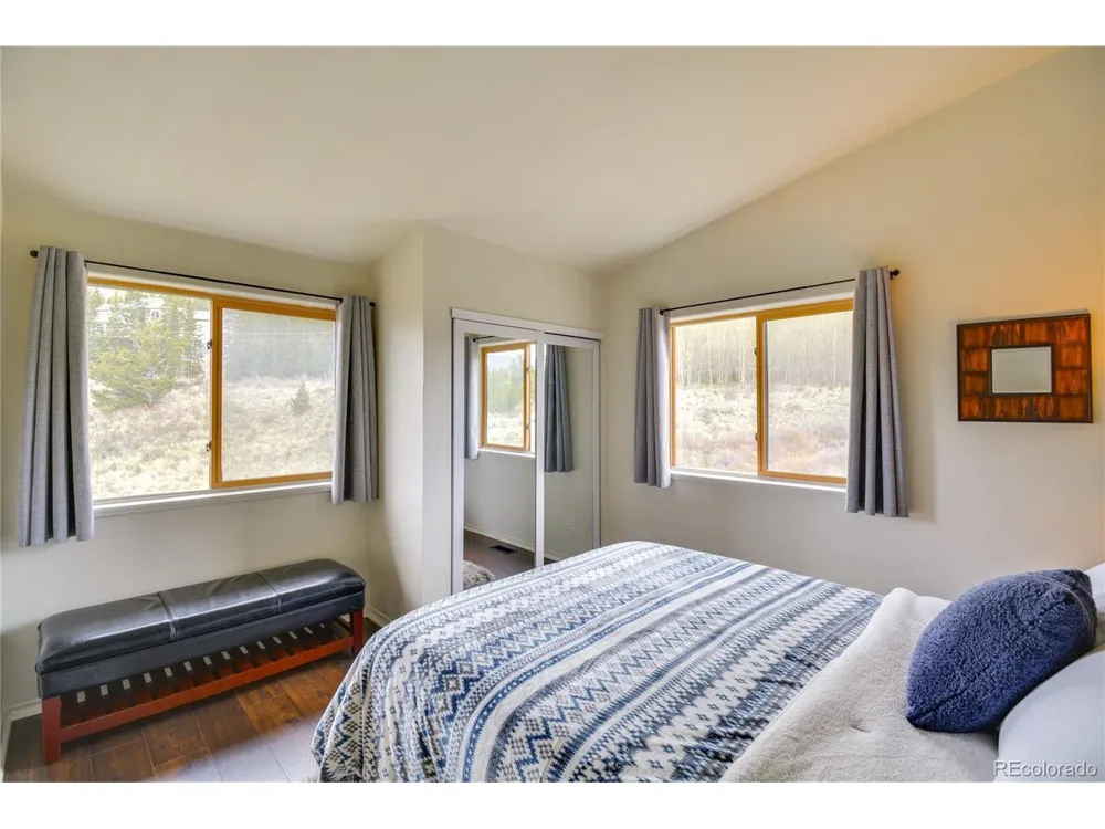 141 Quartzville Road Alma, CO 80420