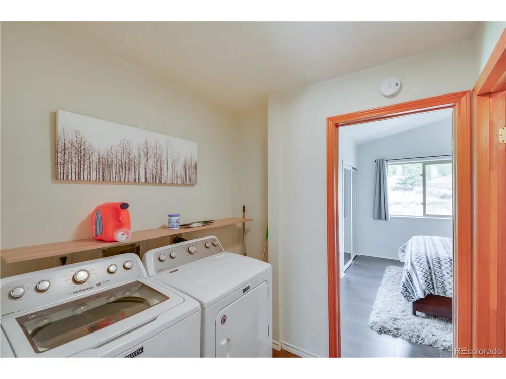 141 Quartzville Road Alma, CO 80420