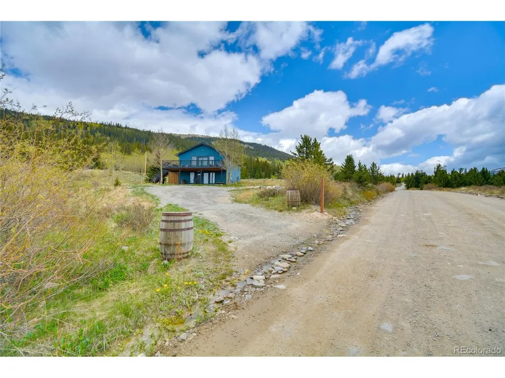 141 Quartzville Road Alma, CO 80420