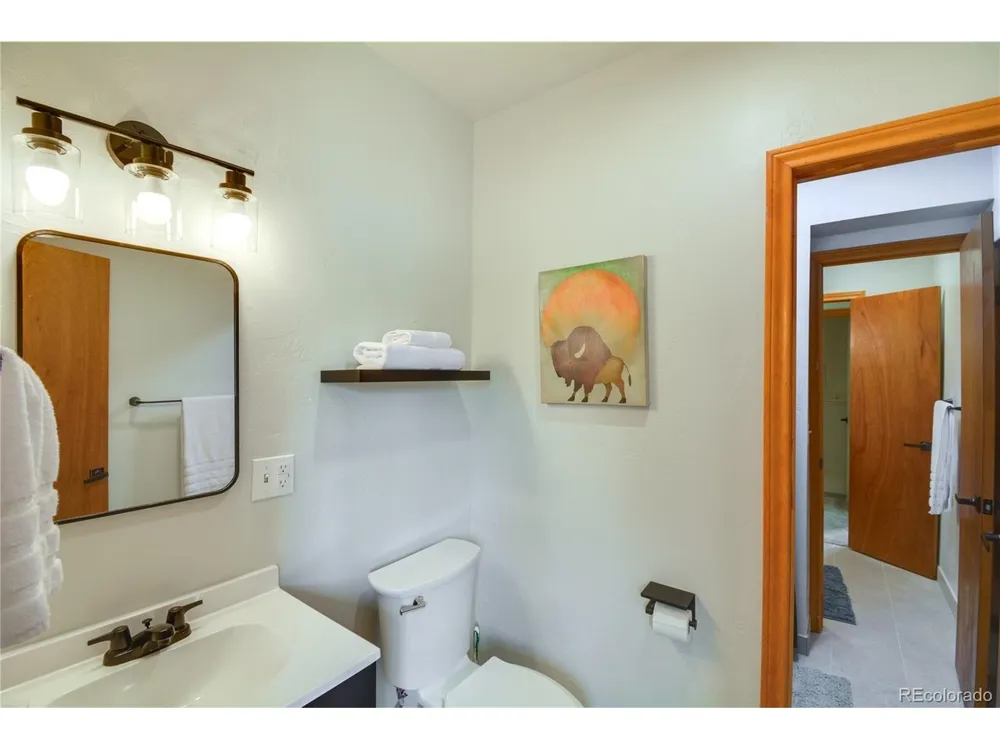141 Quartzville Road Alma, CO 80420