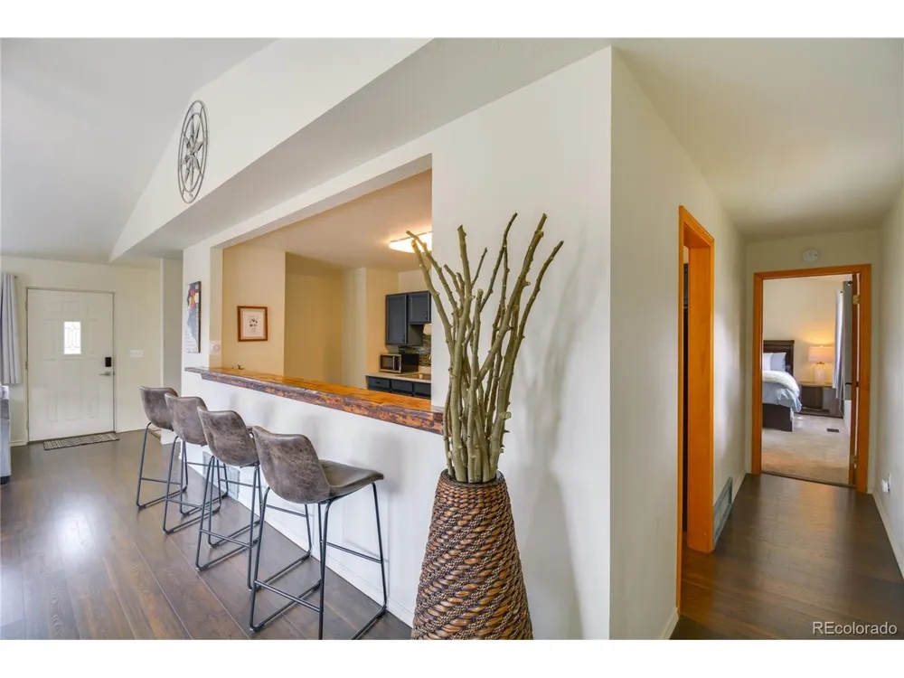 141 Quartzville Road Alma, CO 80420