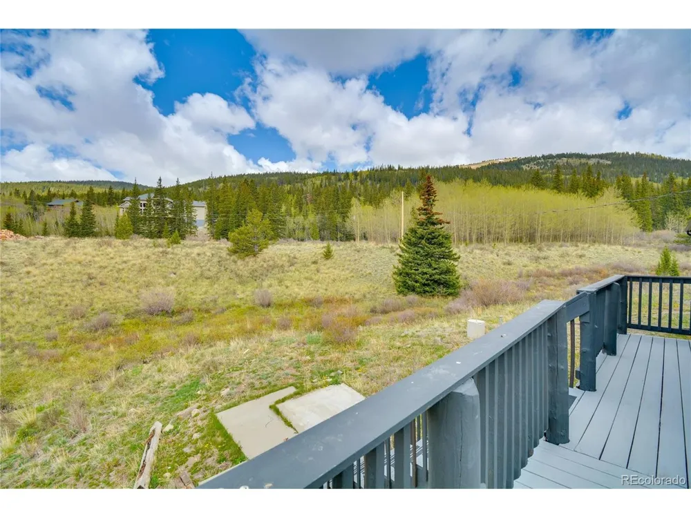 141 Quartzville Road Alma, CO 80420