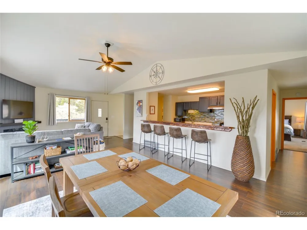 141 Quartzville Road Alma, CO 80420