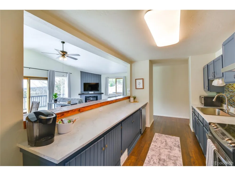 141 Quartzville Road Alma, CO 80420