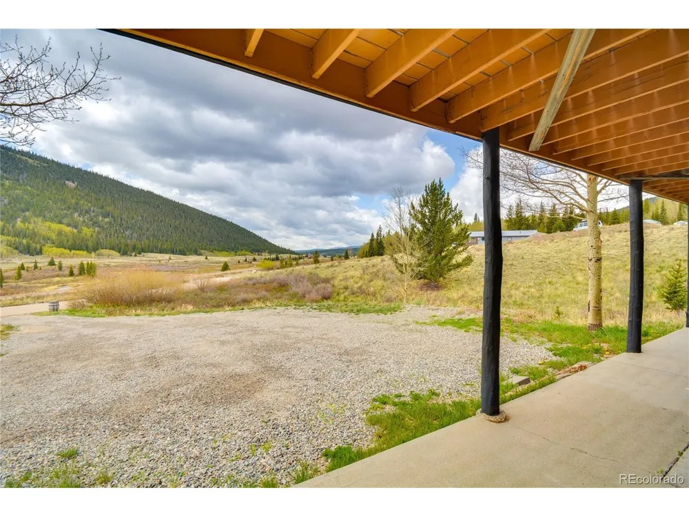 141 Quartzville Road Alma, CO 80420