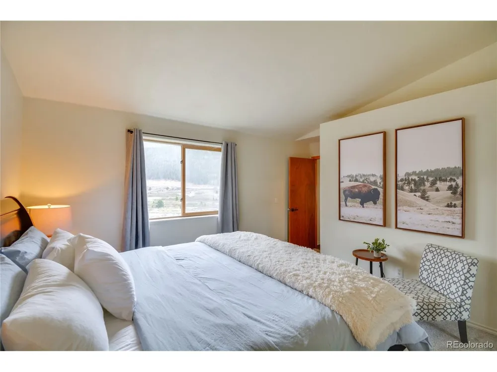 141 Quartzville Road Alma, CO 80420