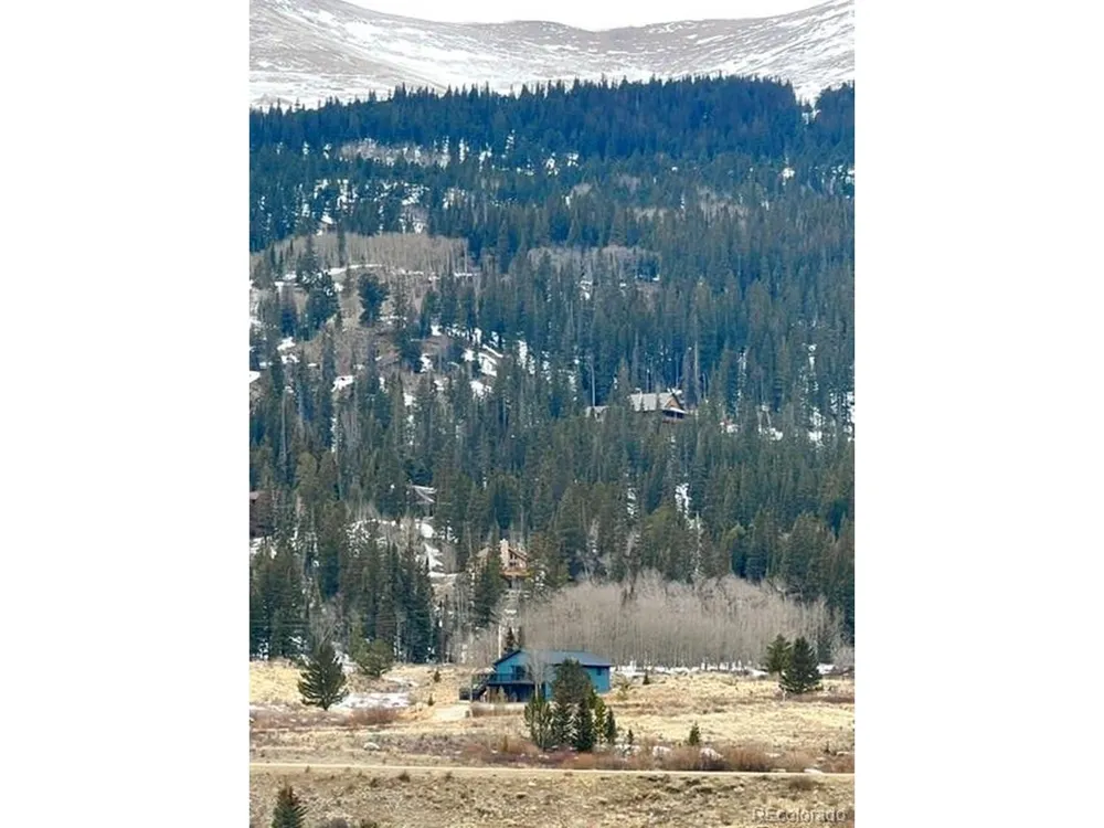 141 Quartzville Road Alma, CO 80420
