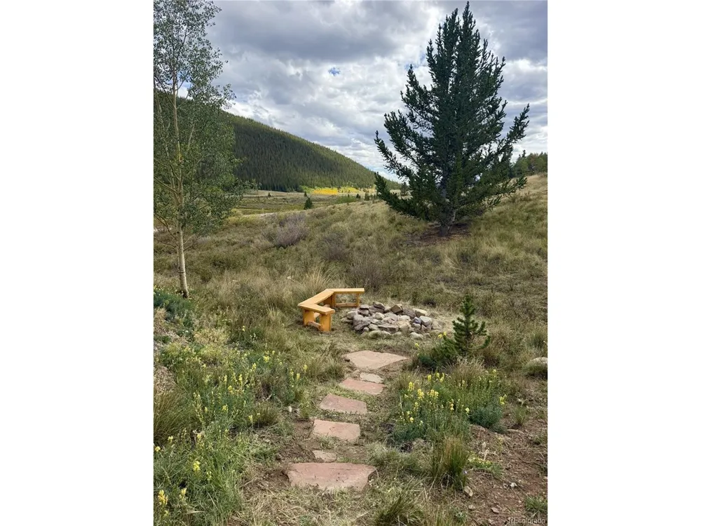 141 Quartzville Road Alma, CO 80420