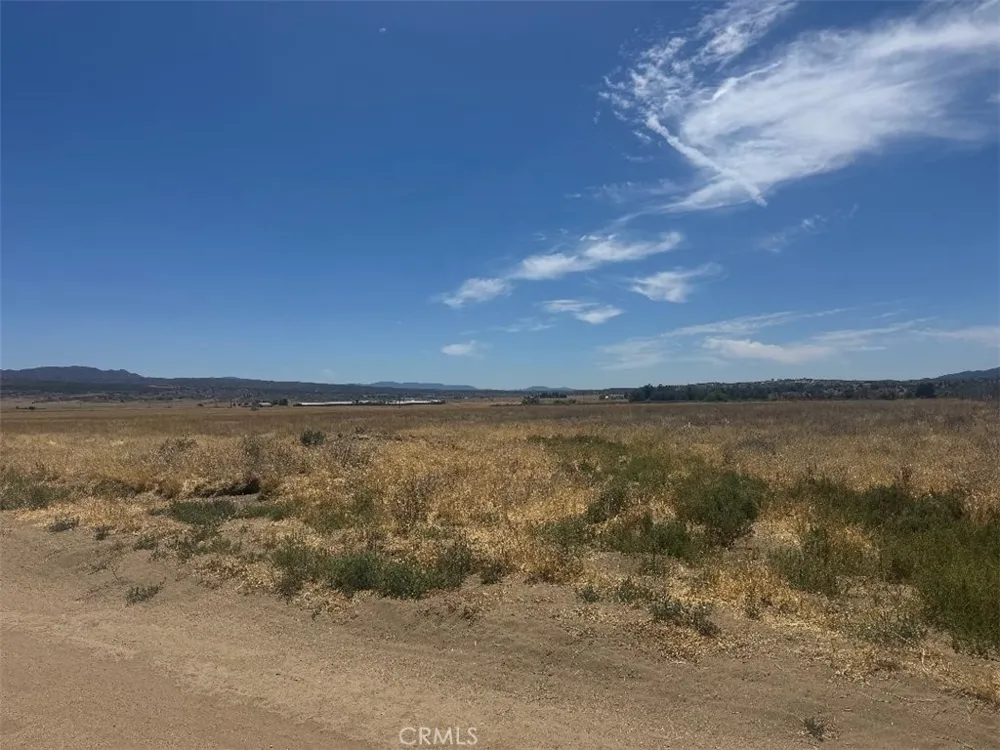 Hamilton Road Anza, CA 92539