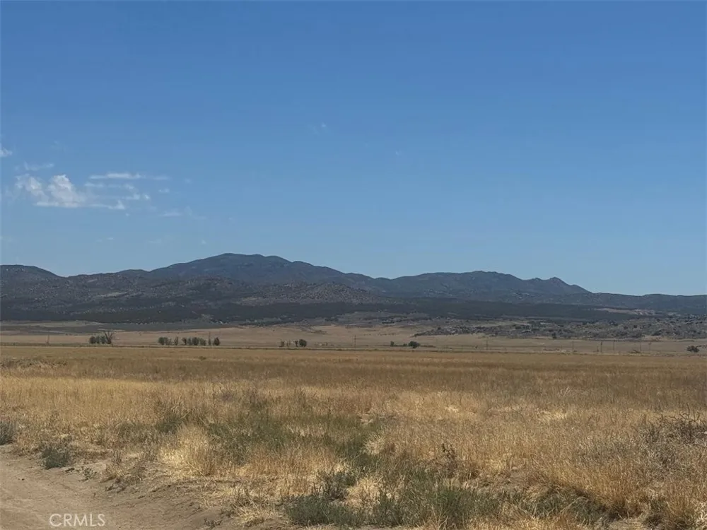 Hamilton Road Anza, CA 92539