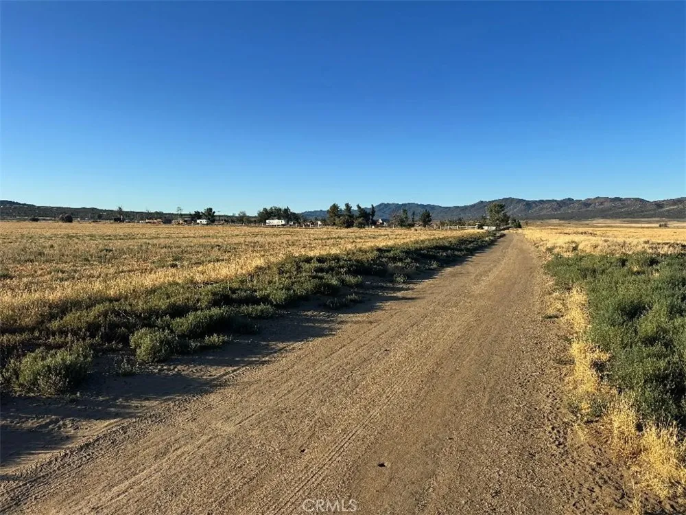 Hamilton Road Anza, CA 92539