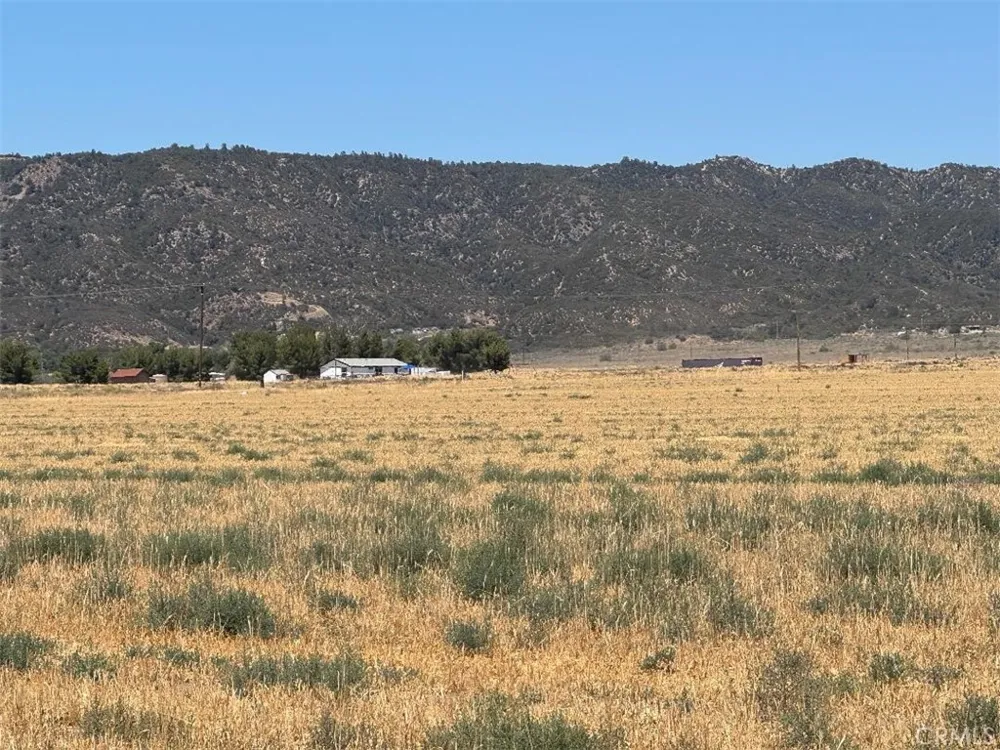 Hamilton Road Anza, CA 92539