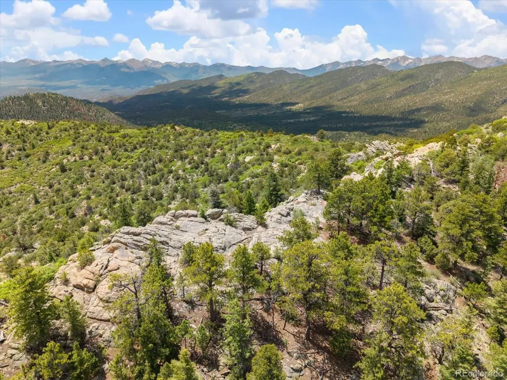 2891 Bird Point Drive Cotopaxi, CO 81223