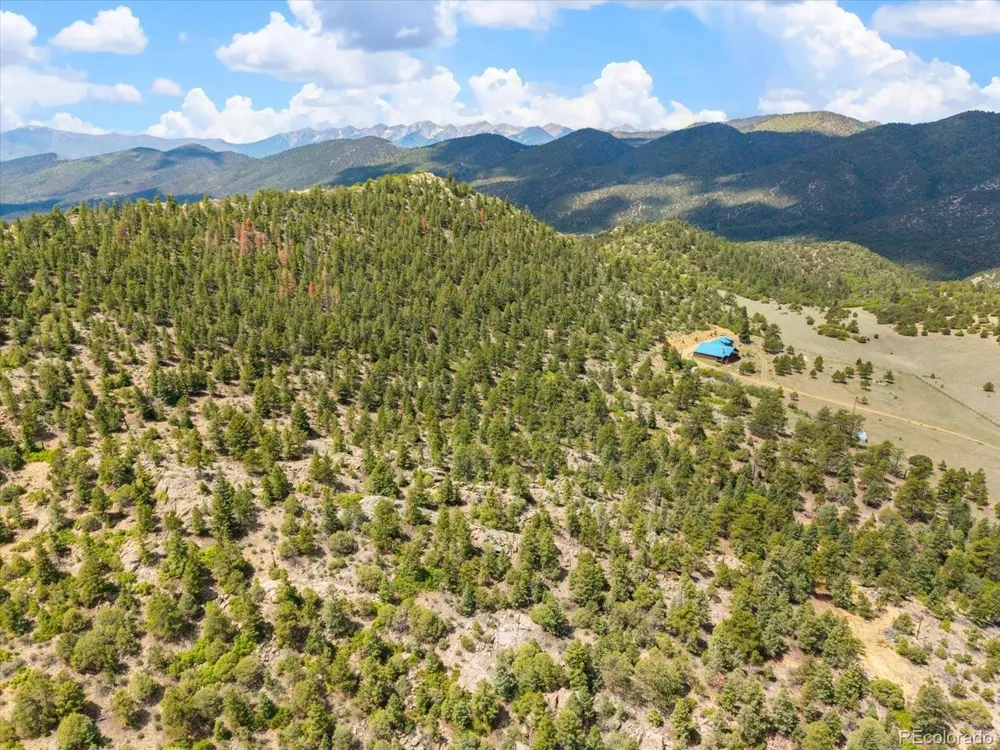 2891 Bird Point Drive Cotopaxi, CO 81223