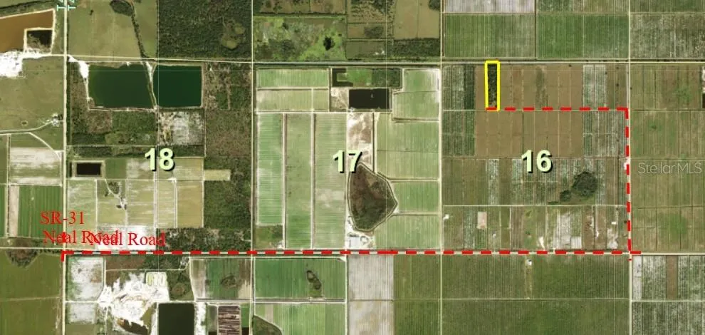 1901 GRAHAM ROAD Punta Gorda, FL 33982
