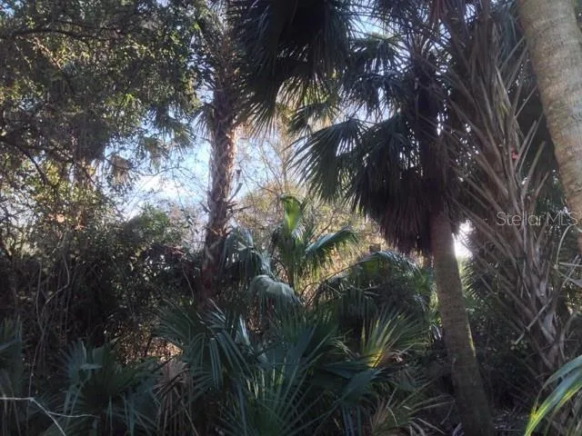 1901 GRAHAM ROAD Punta Gorda, FL 33982