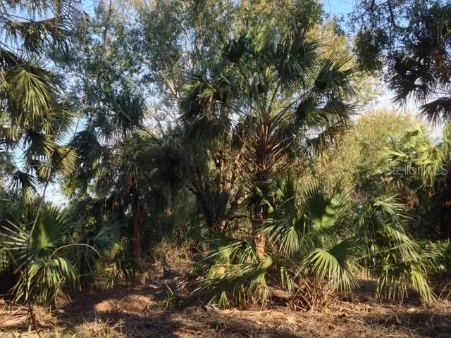 1901 GRAHAM ROAD Punta Gorda, FL 33982