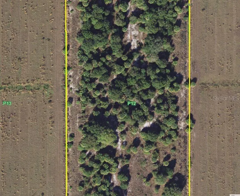 1901 GRAHAM ROAD Punta Gorda, FL 33982