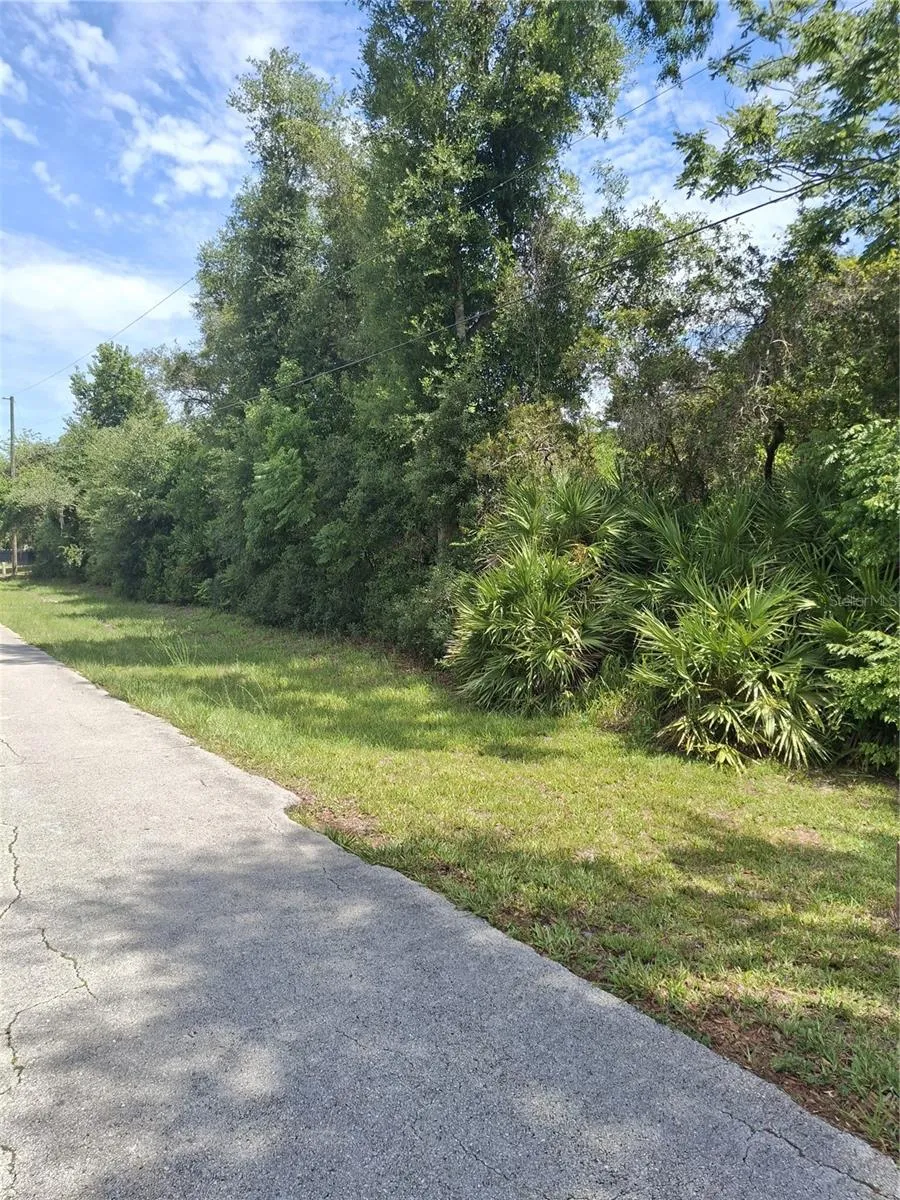 885 E LEHIGH DRIVE Deltona, FL 32738