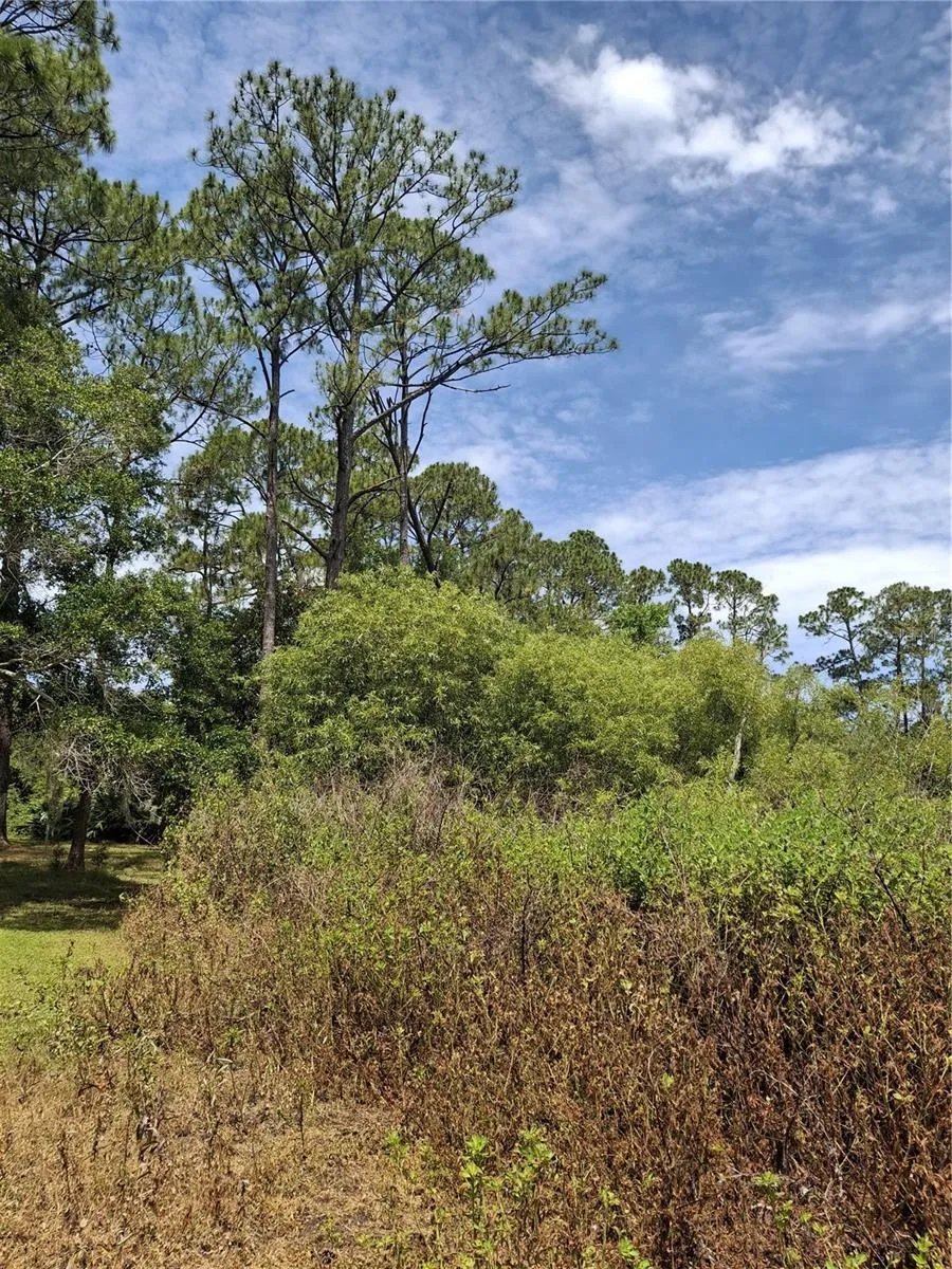 885 E LEHIGH DRIVE Deltona, FL 32738