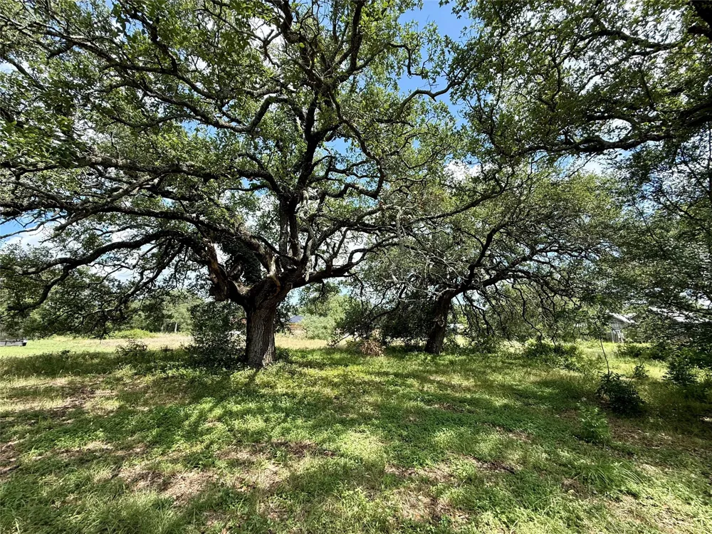 731 Santa Maria Road Salado, TX 76571