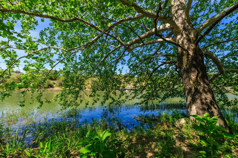 2 Byrd Ranch Road Johnson City, TX 78636