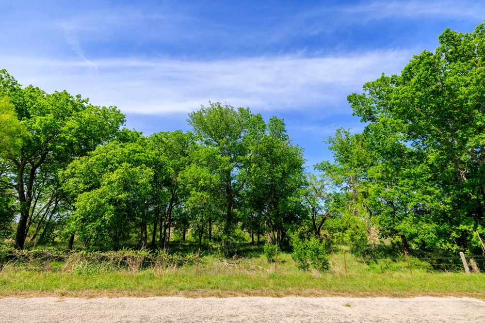 2 Byrd Ranch Road Johnson City, TX 78636