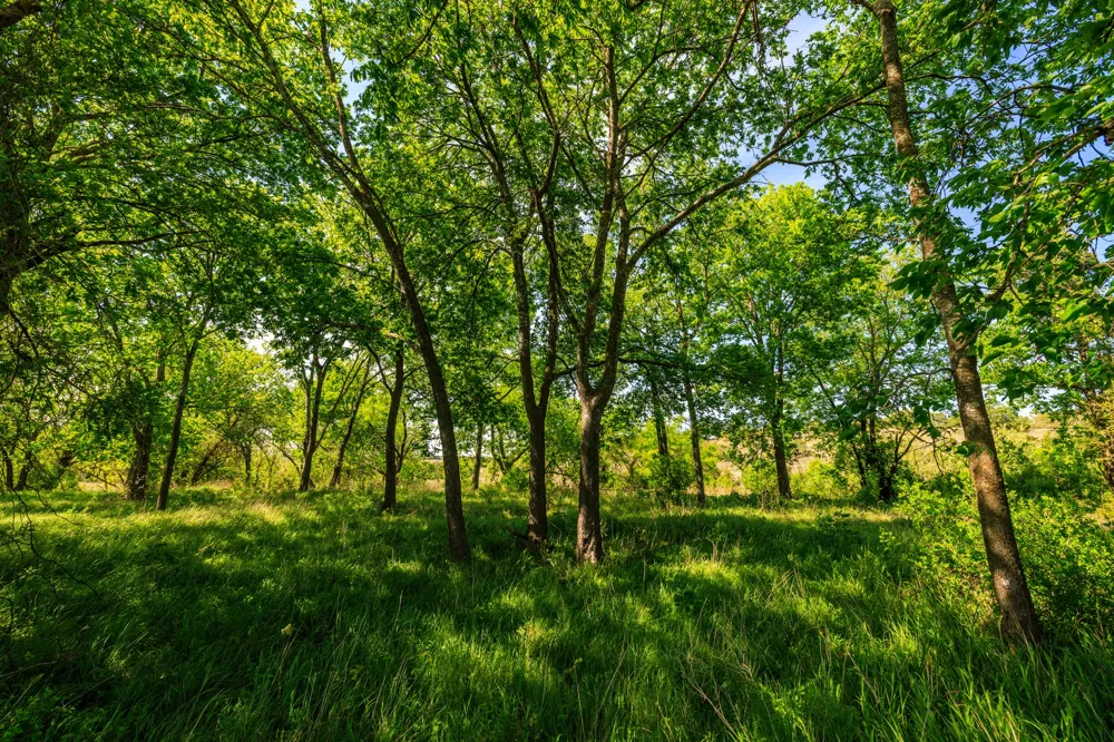 2 Byrd Ranch Road Johnson City, TX 78636
