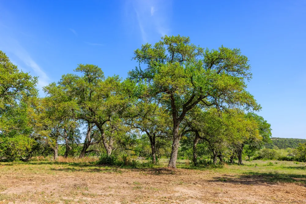 2 Byrd Ranch Road Johnson City, TX 78636