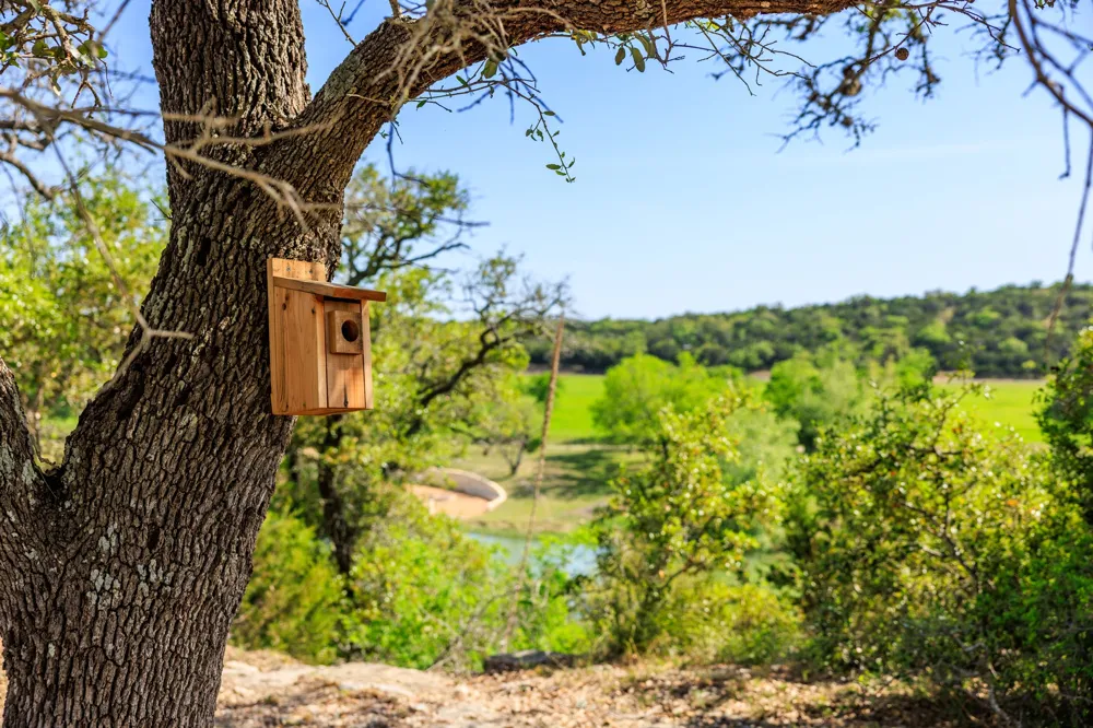 2 Byrd Ranch Road Johnson City, TX 78636