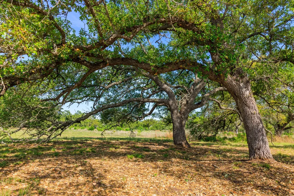 2 Byrd Ranch Road Johnson City, TX 78636