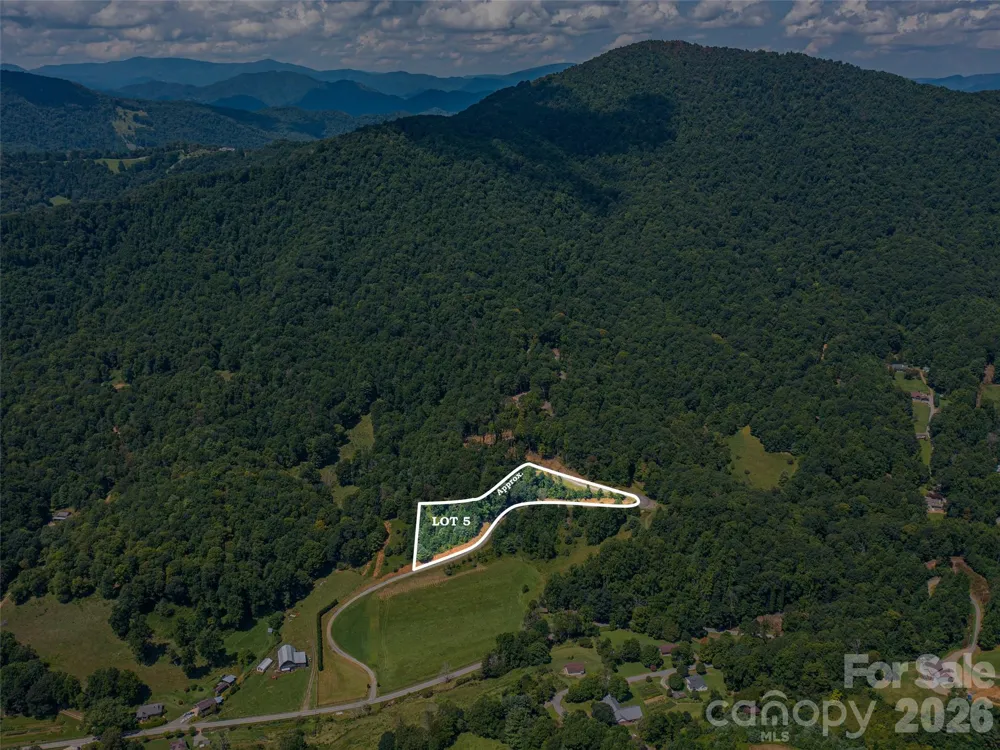 000 Locust Rough Mountain Road #5 Burnsville, NC 28714