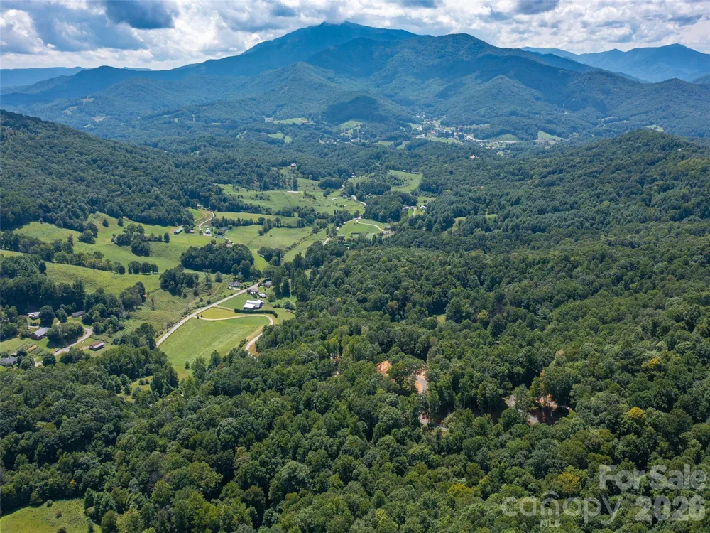 000 Locust Rough Mountain Road #5 Burnsville, NC 28714