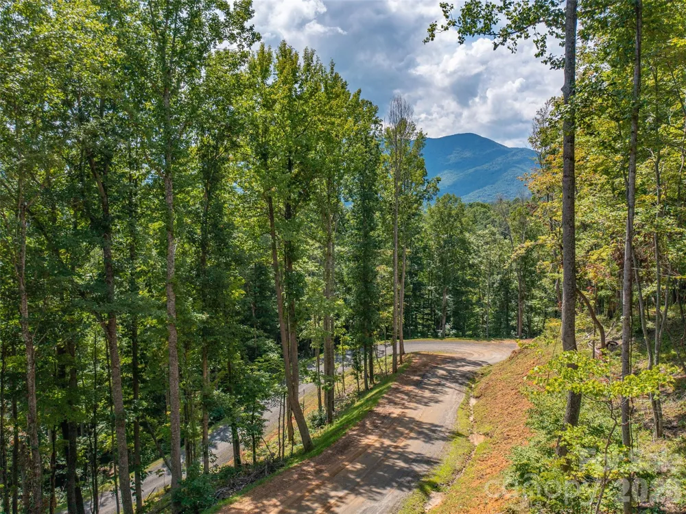 000 Locust Rough Mountain Road #5 Burnsville, NC 28714