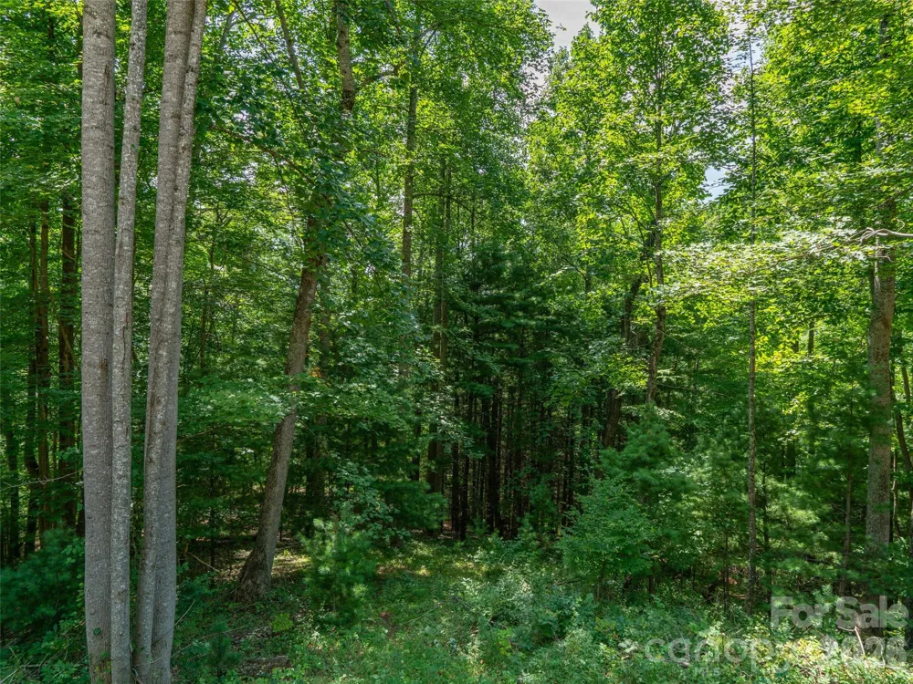 000 Locust Rough Mountain Road #5 Burnsville, NC 28714