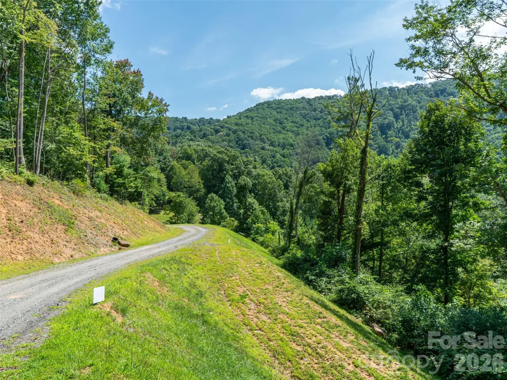 000 Locust Rough Mountain Road #5 Burnsville, NC 28714