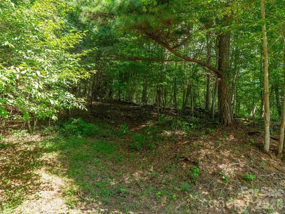 000 Locust Rough Mountain Road #5 Burnsville, NC 28714