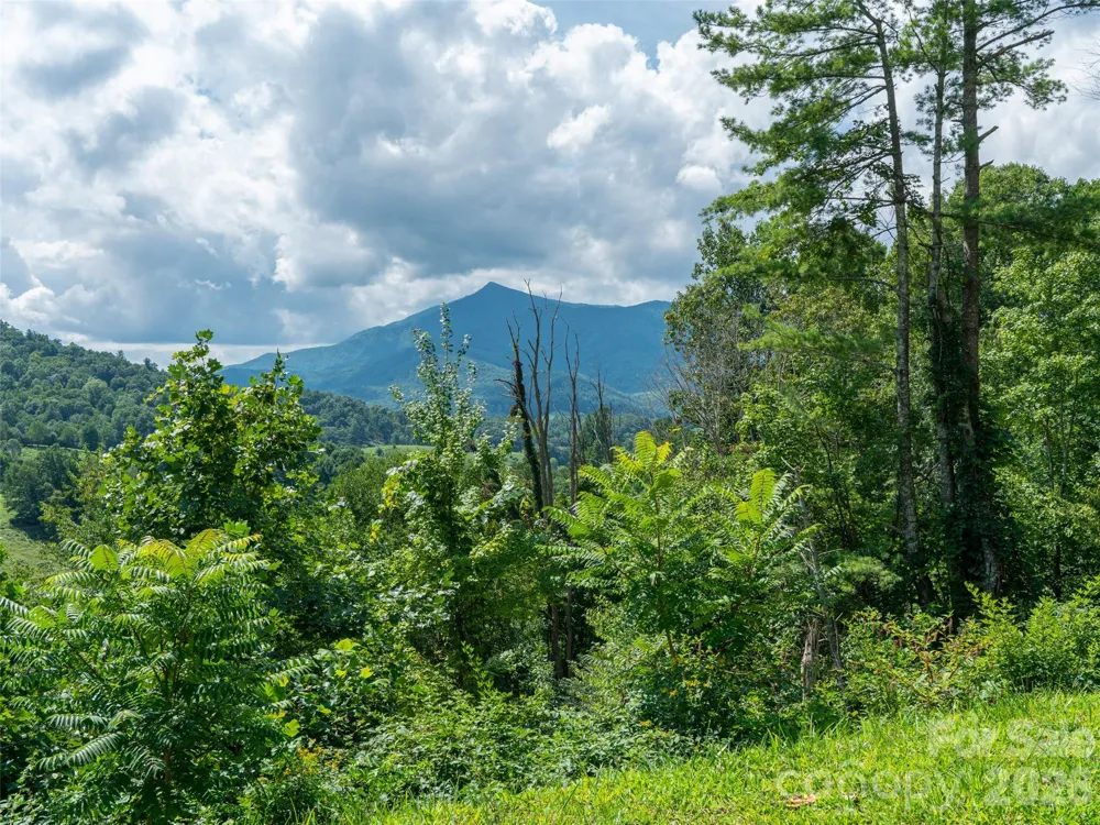 000 Locust Rough Mountain Road #5 Burnsville, NC 28714