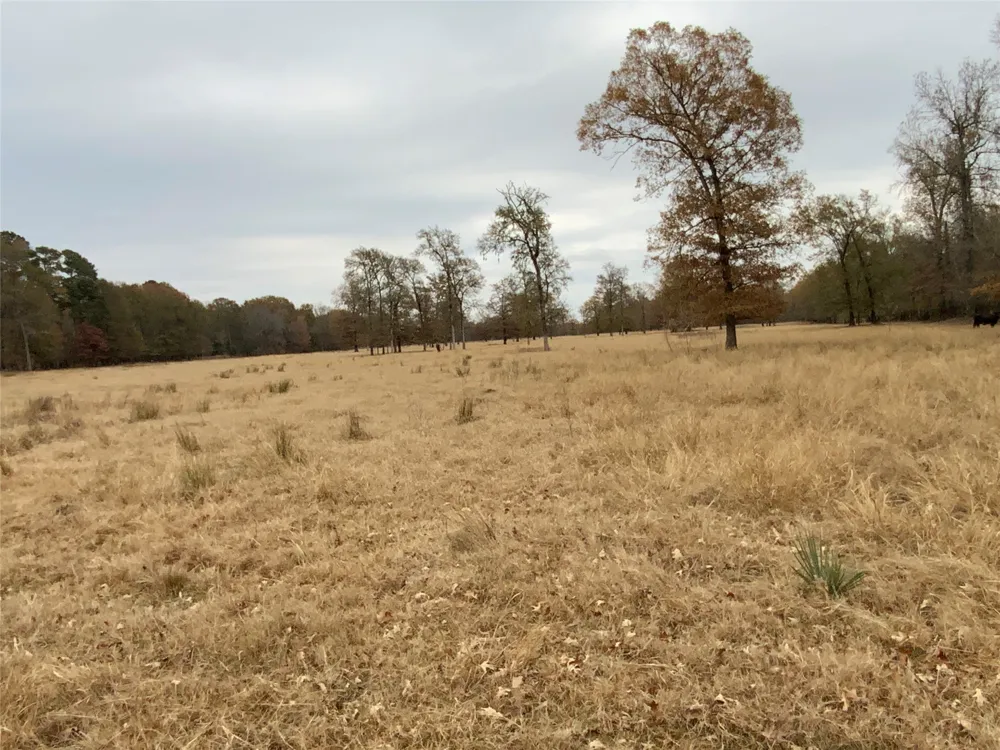1 W Harrison Road Longview, TX 75604