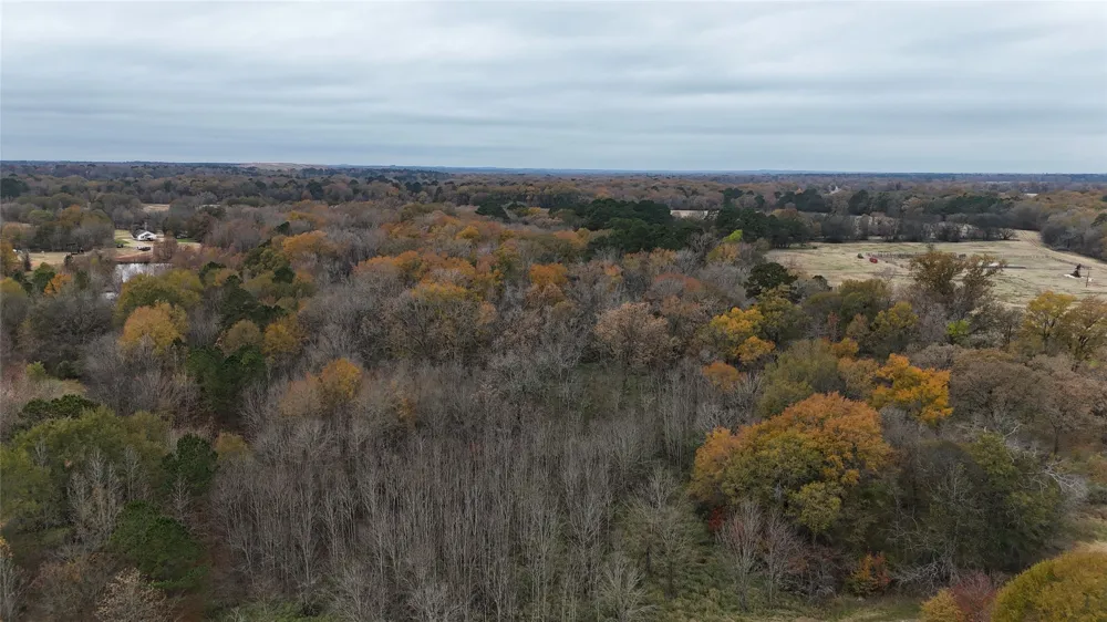 1 W Harrison Road Longview, TX 75604