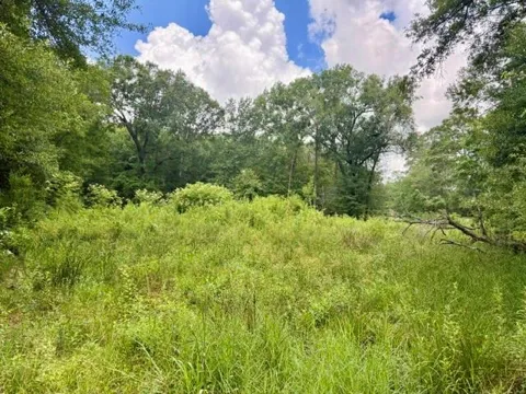 1000 Butler Road