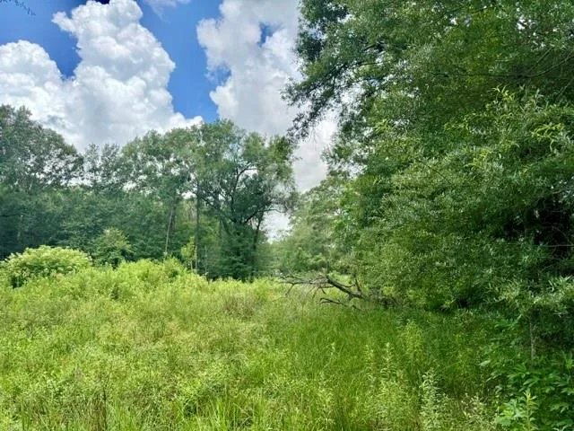 1000 Butler Road Vidor, TX 77662