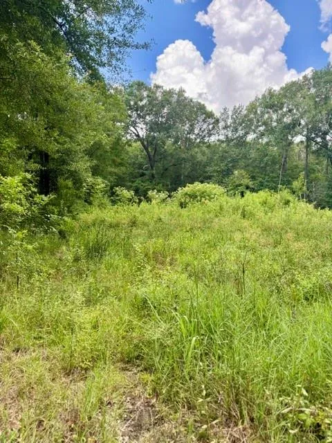 1000 Butler Road Vidor, TX 77662
