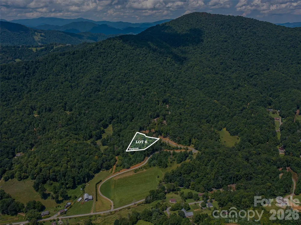 000 Locust Rough Mountain Road #Lot 6 Burnsville, NC 28714