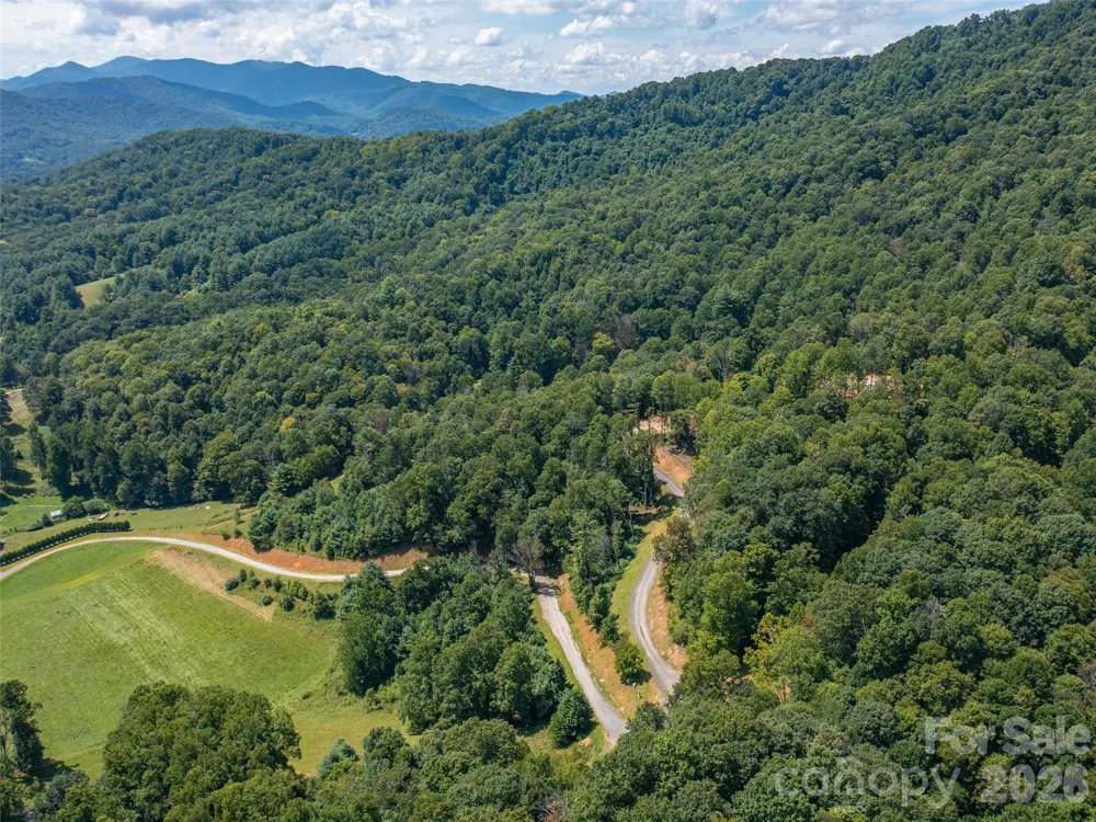 000 Locust Rough Mountain Road #Lot 6 Burnsville, NC 28714