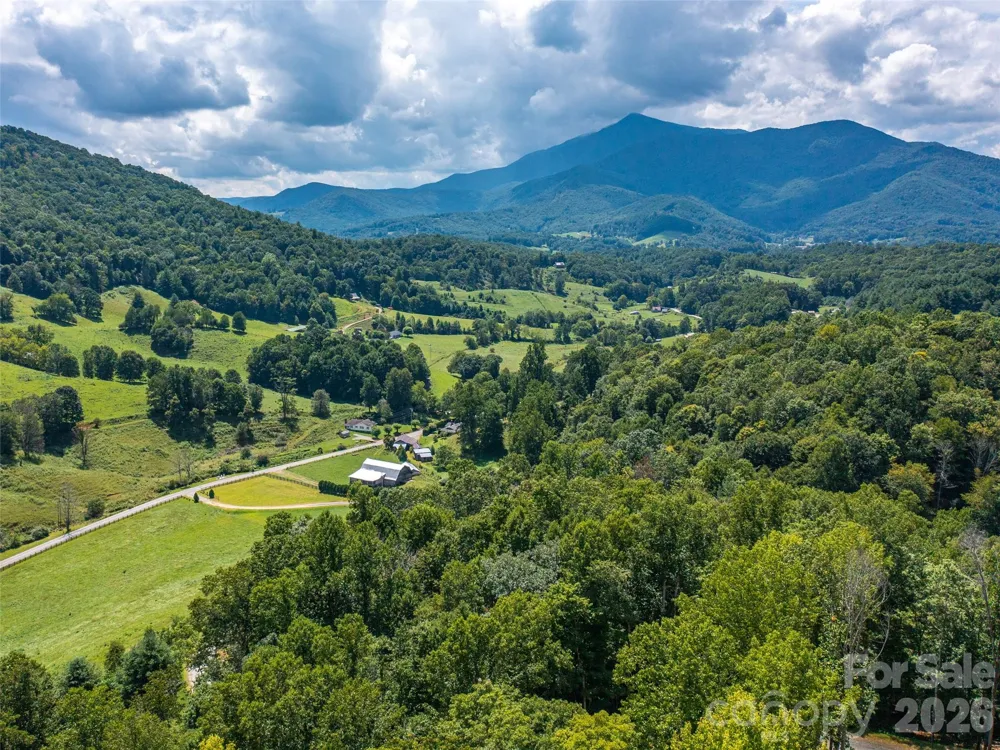 000 Locust Rough Mountain Road #Lot 6 Burnsville, NC 28714